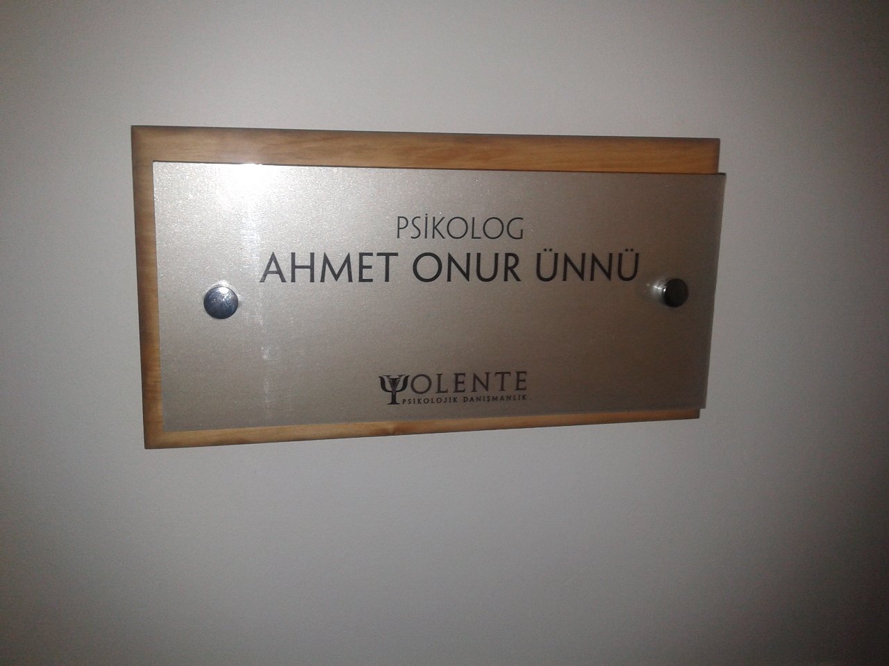 ahşap pleksi kapı isimliği